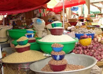 Prévisions économiques 2024 : focus sur l’Afrique subsaharienne et la croissance progressive de la Guinée