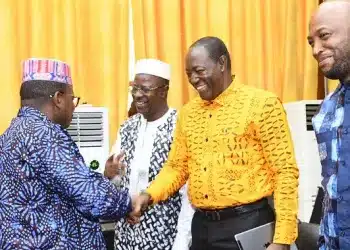 Projet Simandou : WCS et Rio Tinto Simfer obtiennent le feu vert des conseillers nationaux