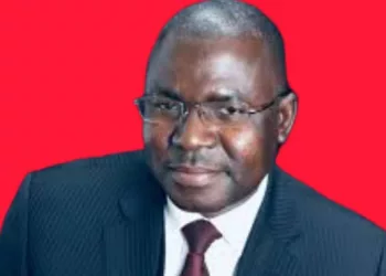 Faya Millimono : “La durée de la transition importe peu”