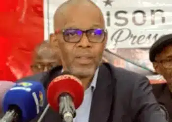 Fourniture d’électricité : l’ancien ministre Thierno Diallo met à nu les faiblesses d’EDG