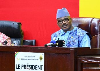 Environnement  : Dr Dansa Kourouma interpelle sur  la prolifération « destructrice » des forages