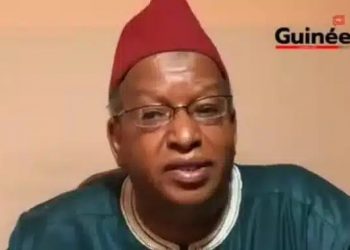 Paysage politique guinéen : le leader du MSD se distingue du RPG et l’UFDG