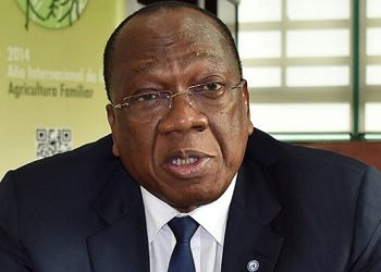 Louceny Fall : “Si jamais il y avait des problèmes un jour, Bah Oury pourrait être responsable”