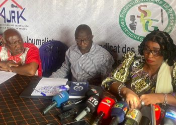 Djene Diaby, HAC : “Les patrons de presse ont reçu de l’argent main à main avec Mamadi Doumbouya”