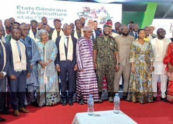 Guinée : lancement des états généraux de l’agriculture et de l’élevage à Conakry