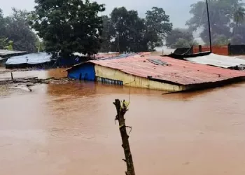 Changement climatique : les Guinéens appellent à l’action rapide des pays riches (rapport)
