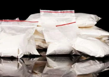 Inde : un Guinéen de 35 ans interpellé avec 412 grammes de cocaïne