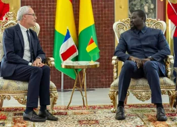 France : des députés réclament une enquête sur les relations diplomatiques et sécuritaires avec la junte guinéenne