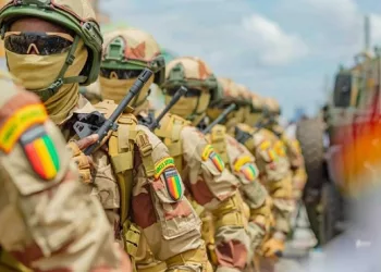 Forces armées : des officiers mis à la “retraite d’office pour inaptitude”