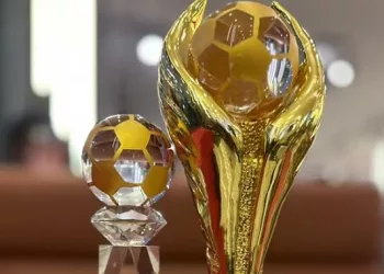 Trophée des Champions/Ligue 1 : les lauréats du mois de janvier révélés