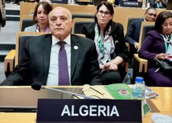 L’Algérie échoue à réintégrer le Conseil de paix et de sécurité de l’Union africaine