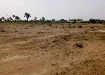 Forécariah : le site prévu pour un aéroport international officiellement déclassé