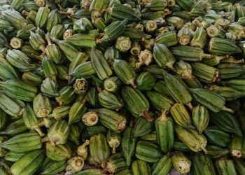 Rouguiatou Fall, marché de Matoto :  “Le sac de gombo qui était à 700 000 GNF se vend aujourd’hui à 1 800 000”