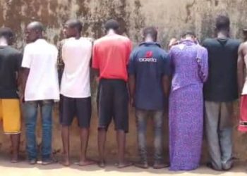 Sonfonia : 20 présumés malfaiteurs, dont une femme, présentés par la police