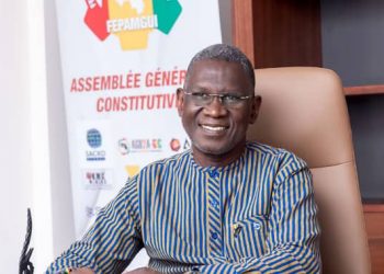 Mines : les opérateurs miniers nationaux, acteurs incontournables du développement du secteur en Guinée