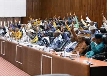 Guinée : le CNT adopte l’accord pour la création d’un Centre international de la mangrove