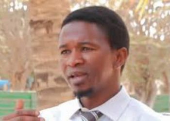 Farinta Camara : “Il est important pour Doumbouya d’avoir une oreille attentive aux inquiétudes de Ouattara”