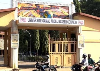 Enseignement supérieur : un diagnostic critique du Centre d’étude et de recherche du PEDN sur le système LMD