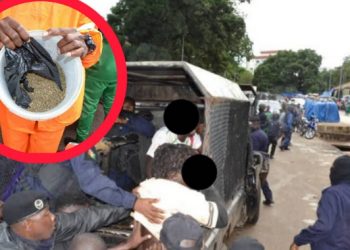 Kaloum : 35 personnes interpellées lors d’une opération antidrogue