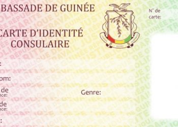 Dakar : un réseau de fausses cartes consulaires guinéennes démantelé
