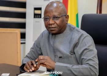 Assainissement du cadastre minier guinéen : encore 45 permis retirés