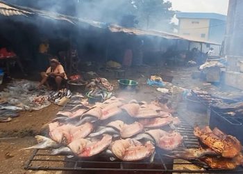 Fumage du poisson : à Nongo, le calvaire invisible des femmes de l’ombre