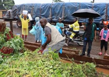 Marché de KM36 : l’ONCQ alertée par le lavage de feuilles de sauce dans des caniveaux