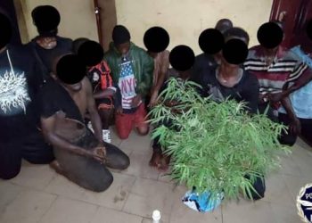 Opération “Ouragan” à Conakry : 15 interpellations et une importante saisie de drogue à Ratoma