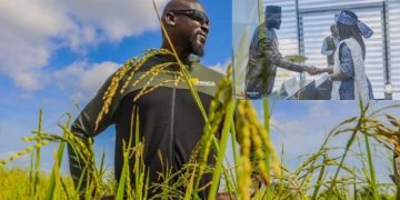 Agriculture : le développement rural et la sécurité alimentaire au cœur des priorités