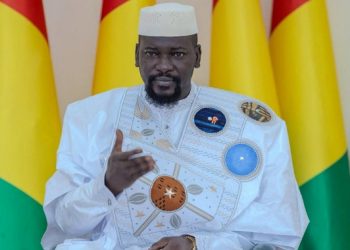 Vulgarisation de la Constitution : le gouvernement appelé à un usage rigoureux des supports visuels