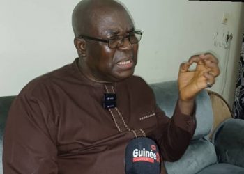 Faya Millimouno : « Un système est en place pour confisquer le pouvoir en Guinée »