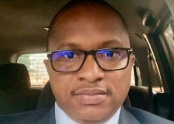 Développement durable : quand la forêt guinéenne est un réservoir de crédits carbone