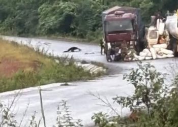 Route Coyah–Kindia : deux camions bloquent la circulation entre Mambia et Labota