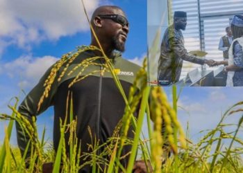 Agriculture : le développement rural et la sécurité alimentaire au cœur des priorités