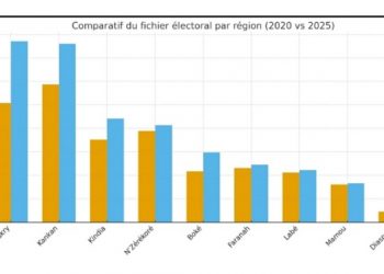 Guinée : des détails troublants mis en lumière par l’analyse comparée du fichier électoral 2020-2025