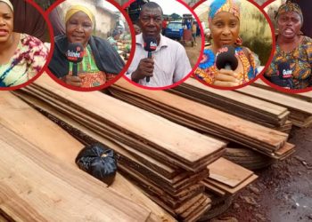 Repos biologique : la filière bois à bout de souffle