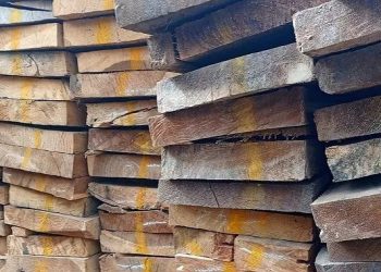 Repos biologique : la suspension de l’exploitation forestière arrive à échéance