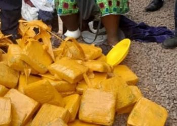 Kamsar : 62 kg de chanvre indien saisis sur une femme