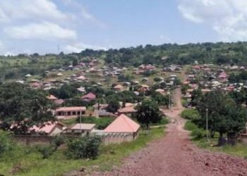 Koubia : une mère assassinée par son fils sous l’emprise de la drogue