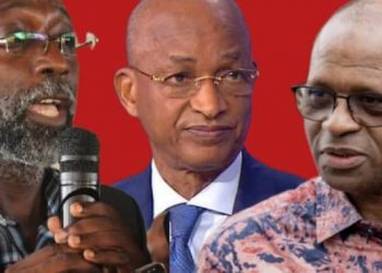 Présidentielle 2025 : Mamadou Barry, SG/A de l’Ufdg, appelle Cellou Dalein à soutenir Yero Baldé