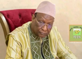 PEDN : Lansana Kouyaté suspend plusieurs cadres du parti pour “rébellion”