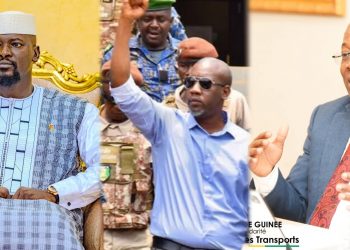 Dossier Aliou Bah : Ousmane Gaoual promet d’intercéder pour une grâce présidentielle