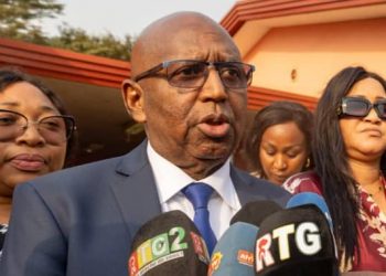 Syli national : « De nouveaux joueurs binationaux ont été contactés », assure Blasco Barry