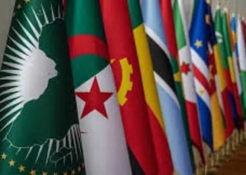 Dix présidentielles en Afrique en 2025 : deux alternances, deux juntes consacrées, six continuités du pouvoir