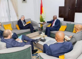 Économie et énergie : Conakry renforce sa coopération avec Paris