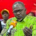 Ibrahima Sory Diallo interpelle le nouveau gouvernement : « Il n’est plus question de faire la mamaya »