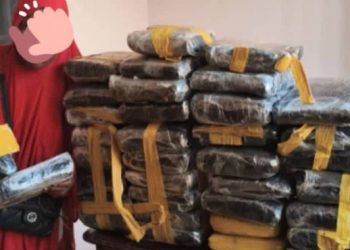 Mandiana : 37 kg de cannabis saisis, une femme de 51 ans arrêtée