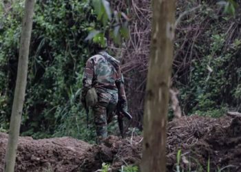 RDC : les États-Unis sanctionnent l’armée rwandaise pour son soutien au M23