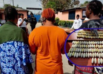 Trafic de drogue : 346 boules de cocaïne saisies, cinq suspects interpellés dont trois femmes