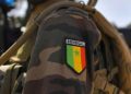 Sénégal : trois militaires tués dans une explosion lors d’une opération anti-chanvre